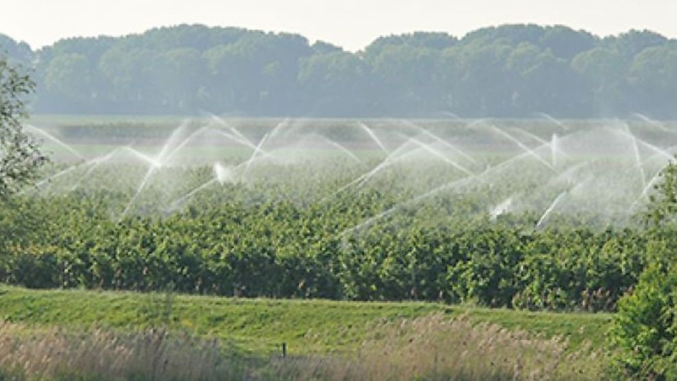 Eaux usées de l'industrie vers l'agriculture