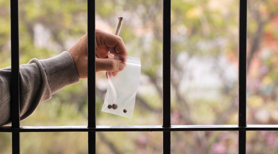 Projet pilote d'assistance aux détenus en matière de médicaments